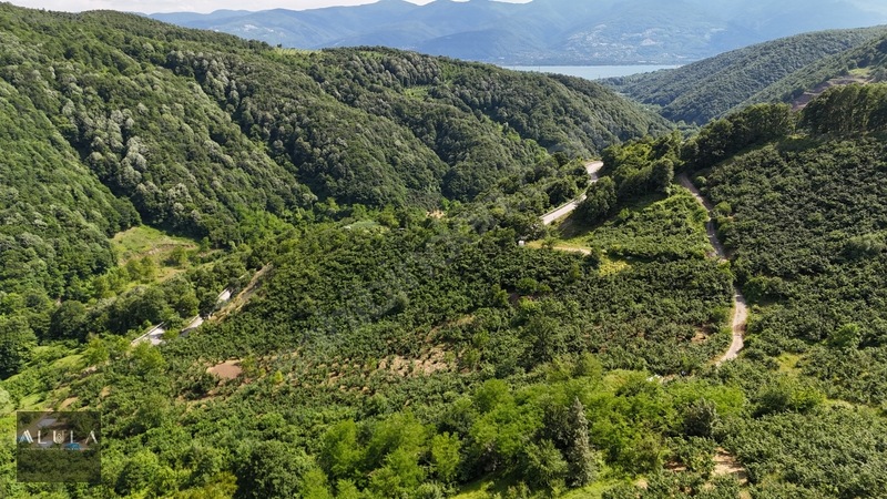 Eşmeahmediye'de 2.295m2 %5 İmarlı Satılık Fındık Bahçesi — fotoğraf 5
