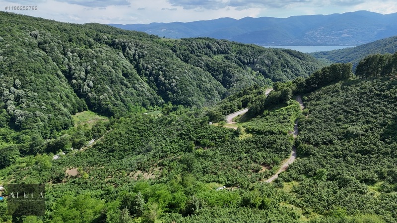 Eşmeahmediye'de 2.295m2 %5 İmarlı Satılık Fındık Bahçesi — fotoğraf 6