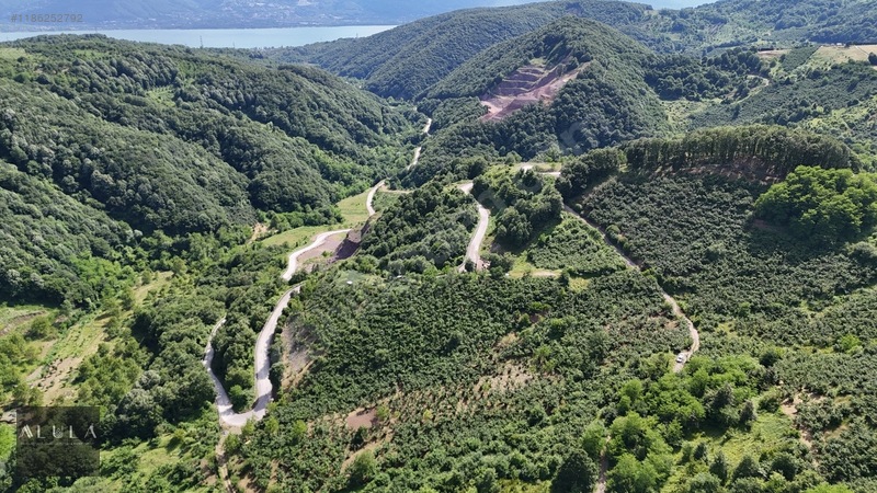 Eşmeahmediye'de 2.295m2 %5 İmarlı Satılık Fındık Bahçesi — fotoğraf 7