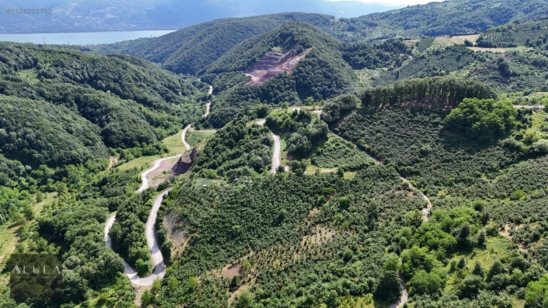 Eşmeahmediye'de 2.295m2 %5 İmarlı Satılık Fındık Bahçesi — fotoğraf 8