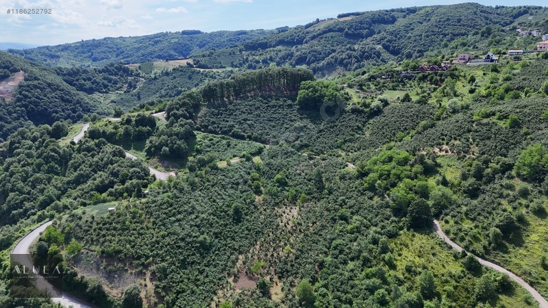 Eşmeahmediye'de 2.295m2 %5 İmarlı Satılık Fındık Bahçesi — fotoğraf 9