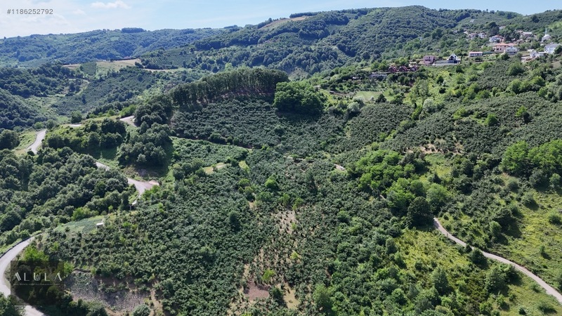 Eşmeahmediye'de 2.295m2 %5 İmarlı Satılık Fındık Bahçesi — fotoğraf 10