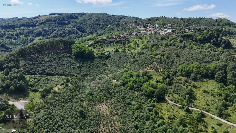 Eşmeahmediye'de 2.295m2 %5 İmarlı Satılık Fındık Bahçesi — fotoğraf 11