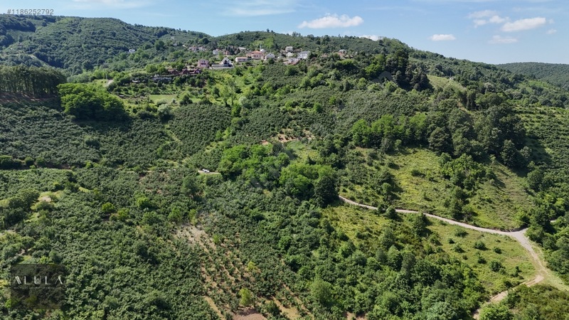 Eşmeahmediye'de 2.295m2 %5 İmarlı Satılık Fındık Bahçesi — fotoğraf 12