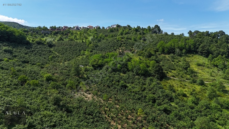 Eşmeahmediye'de 2.295m2 %5 İmarlı Satılık Fındık Bahçesi — fotoğraf 13
