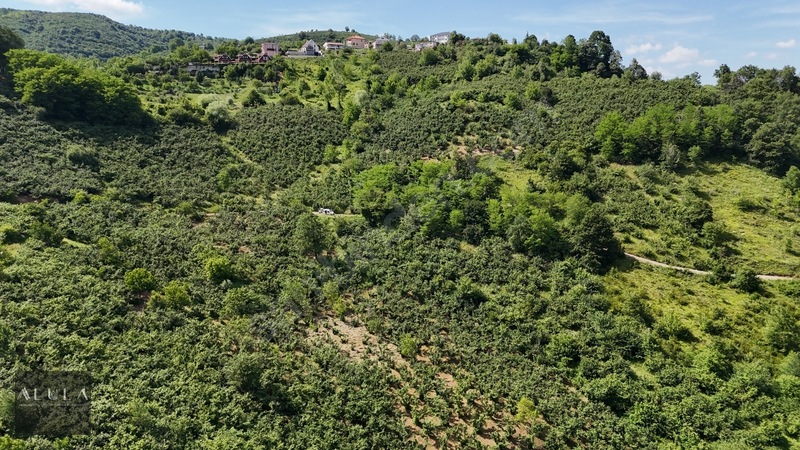 Eşmeahmediye'de 2.295m2 %5 İmarlı Satılık Fındık Bahçesi — fotoğraf 14