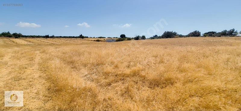 Çanakkale Merkeze Yakın Kadastral Yola Cepheli 11.830 M2 Arazi — fotoğraf 21