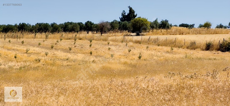 Çanakkale Merkeze Yakın Kadastral Yola Cepheli 11.830 M2 Arazi — fotoğraf 23