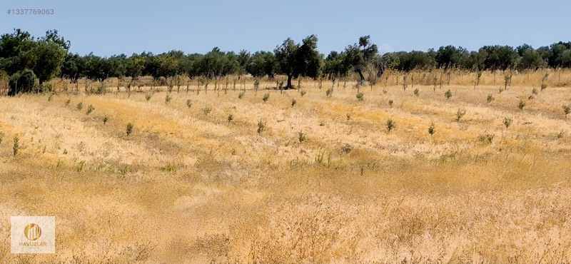 Çanakkale Merkeze Yakın Kadastral Yola Cepheli 11.830 M2 Arazi — fotoğraf 25