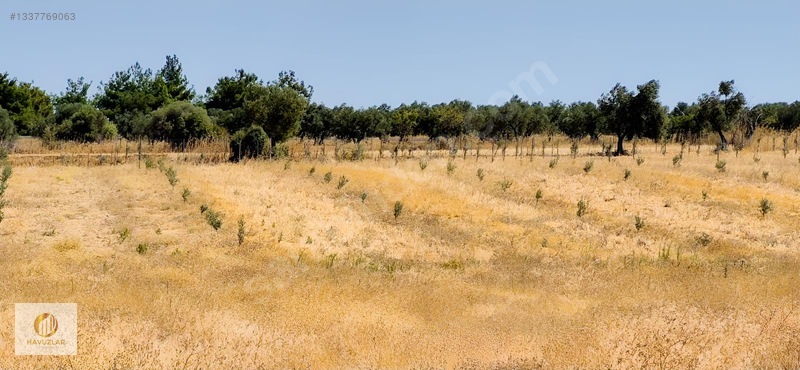 Çanakkale Merkeze Yakın Kadastral Yola Cepheli 11.830 M2 Arazi — fotoğraf 26