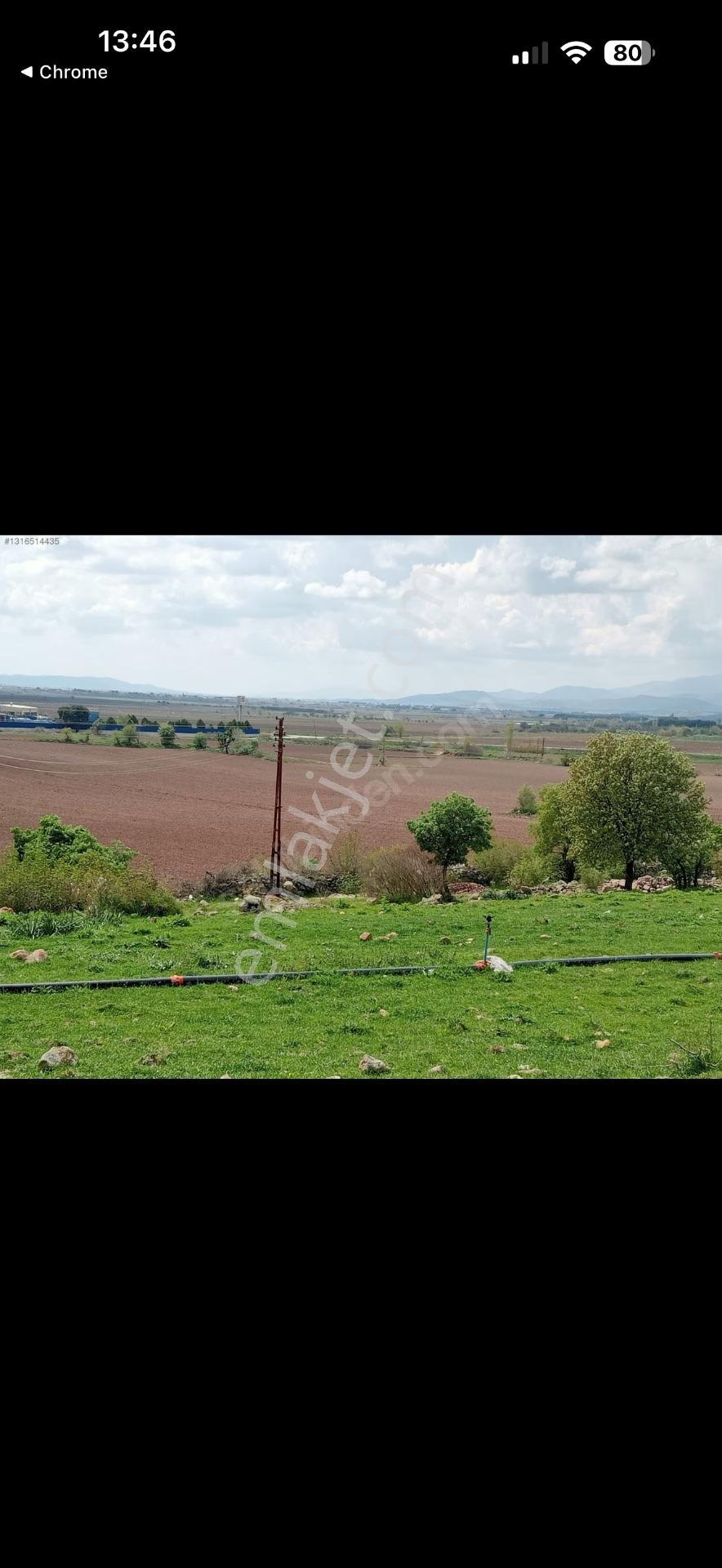 Elagöz Gayrimenkul'den Çiftlik Yapımına Uygun Arazi — fotoğraf 2