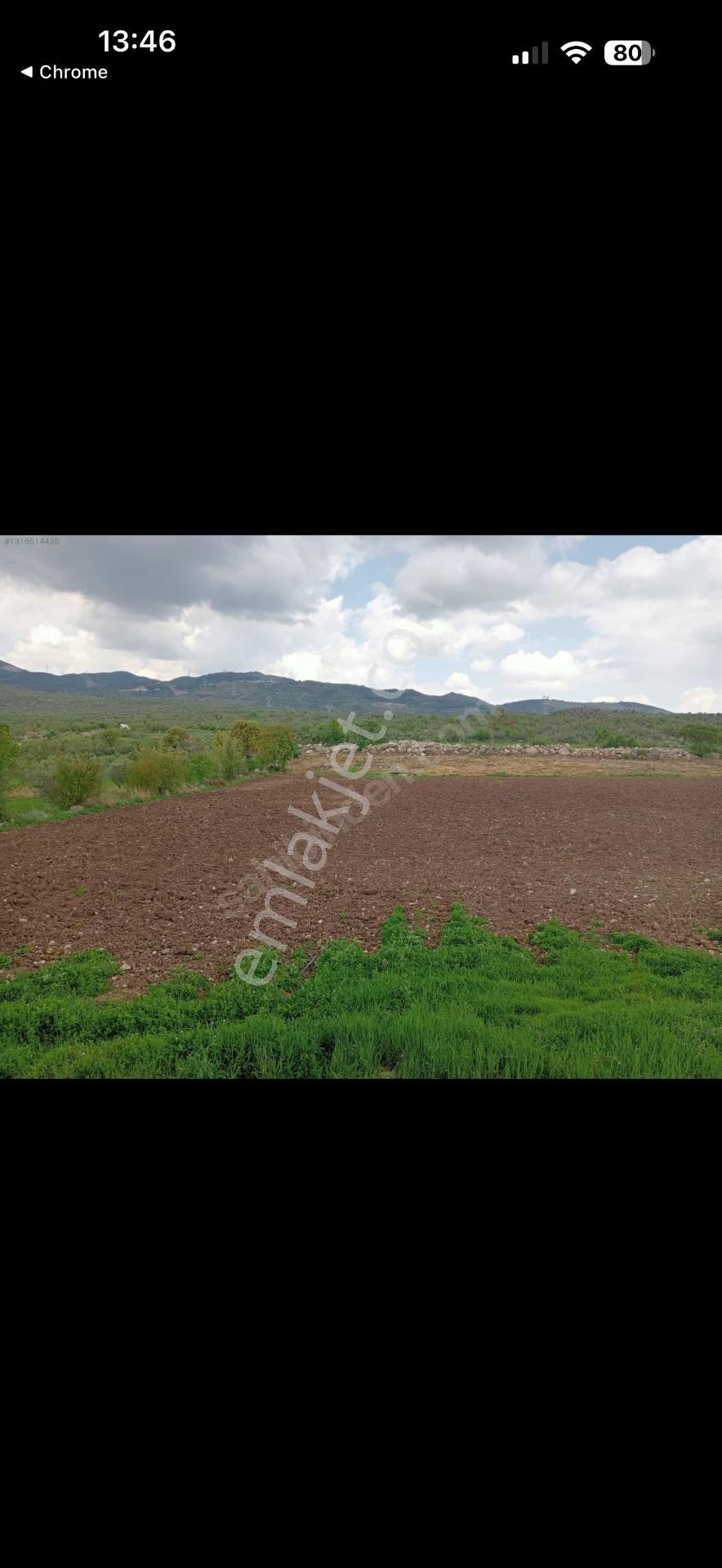Elagöz Gayrimenkul'den Çiftlik Yapımına Uygun Arazi — fotoğraf 5