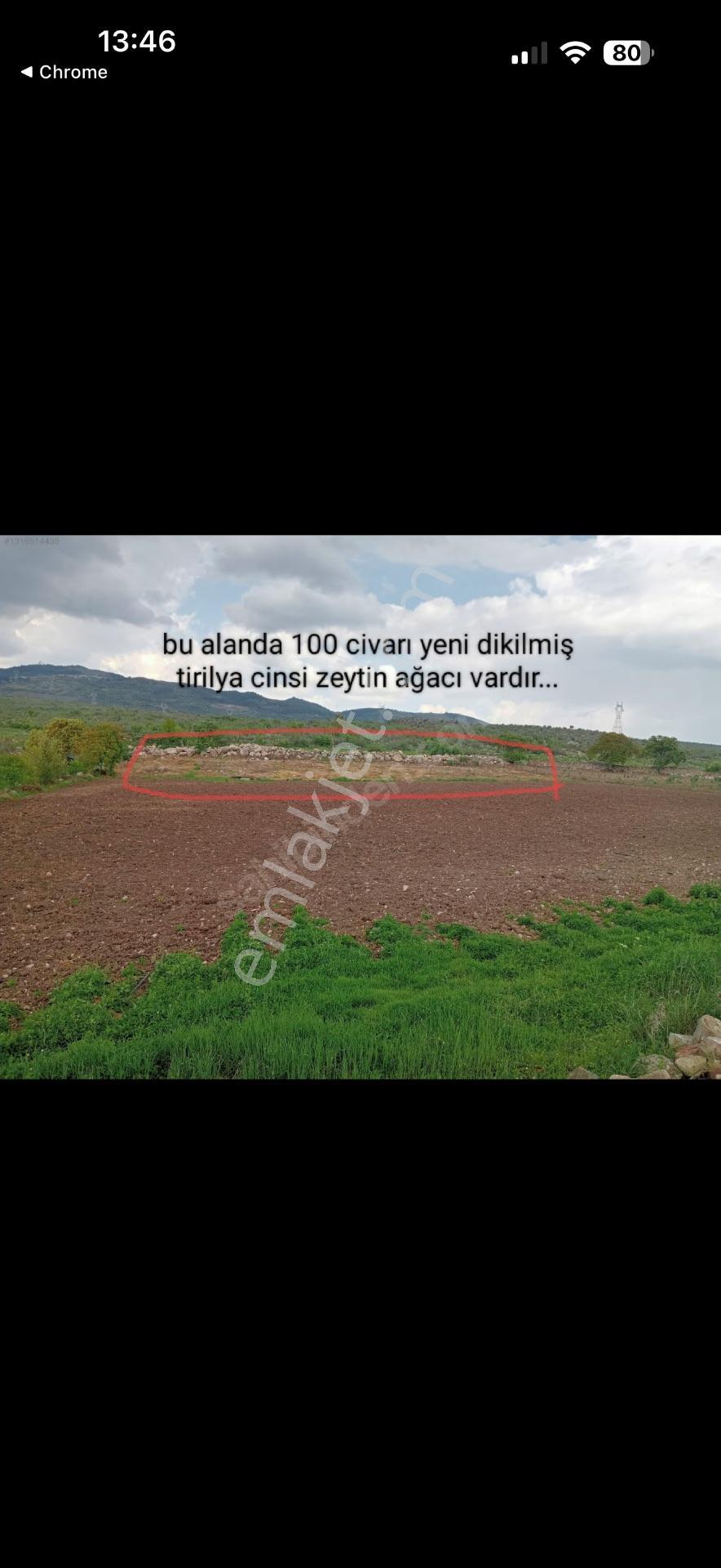 Elagöz Gayrimenkul'den Çiftlik Yapımına Uygun Arazi — fotoğraf 8
