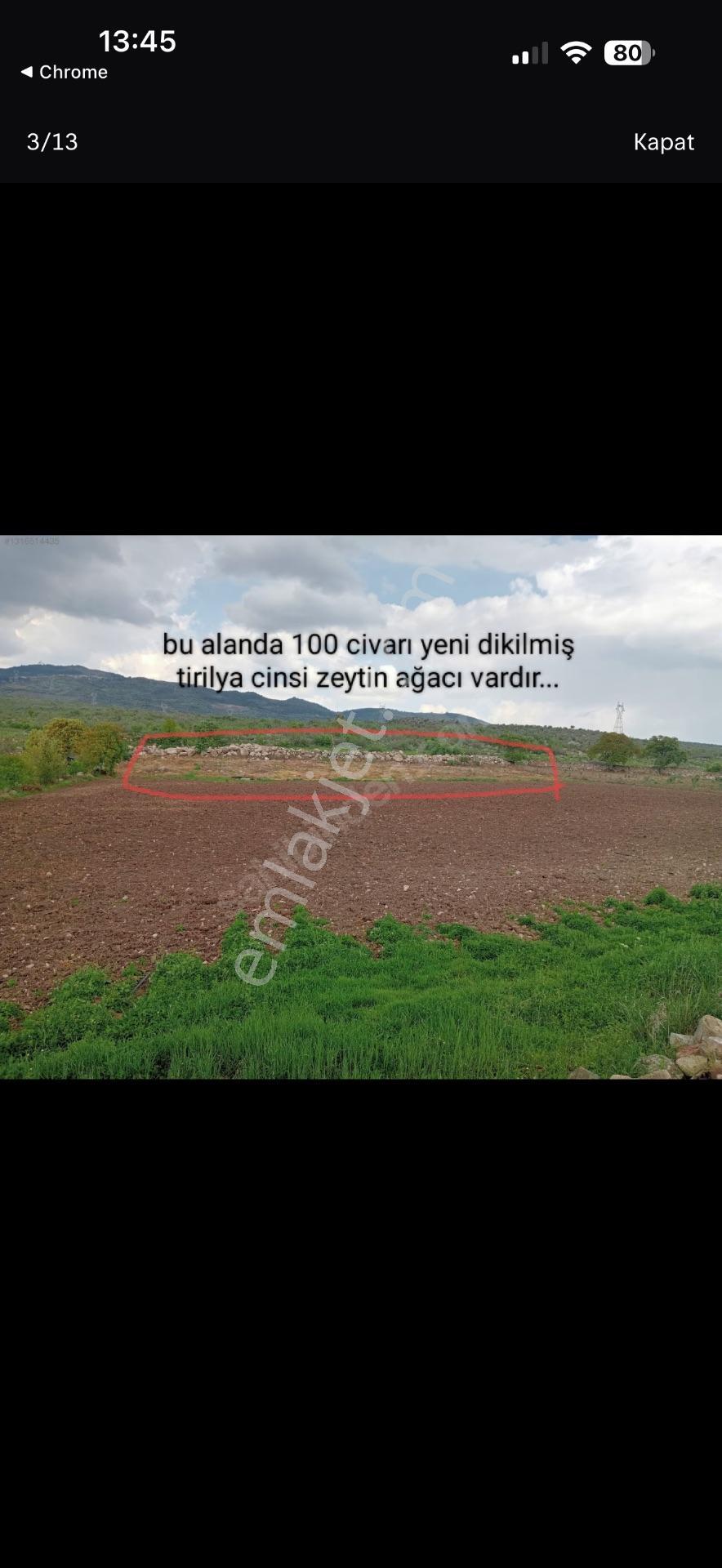 Elagöz Gayrimenkul'den Çiftlik Yapımına Uygun Arazi — fotoğraf 9
