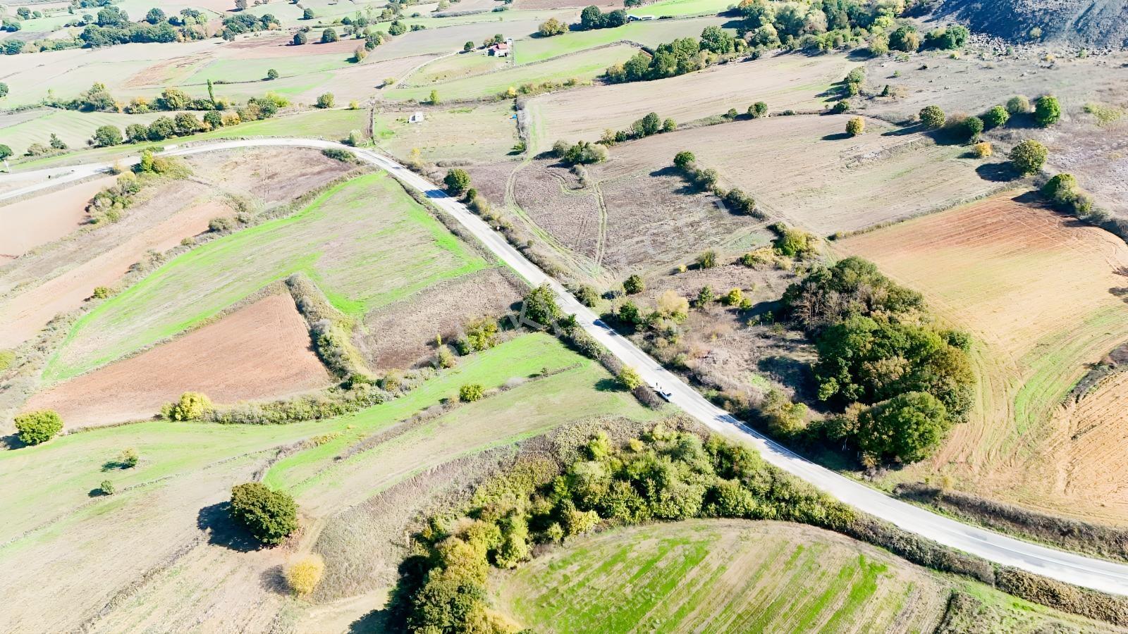 Balıkesir Karesi Armutalan Mah.satılık Tarla — fotoğraf 2