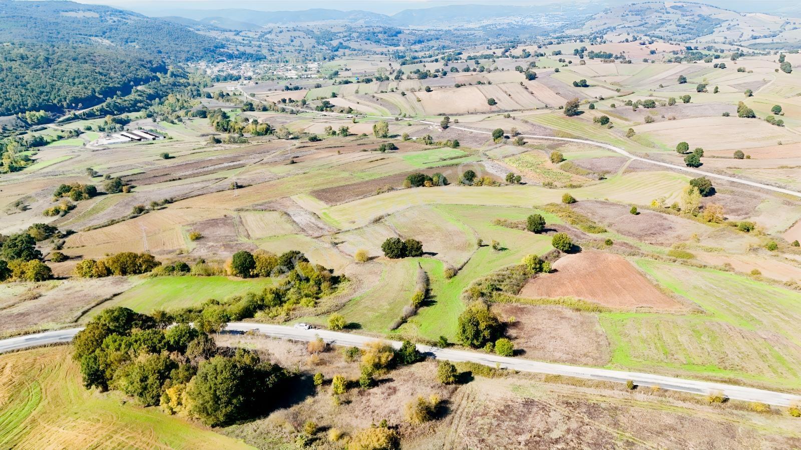 Balıkesir Karesi Armutalan Mah.satılık Tarla — fotoğraf 6