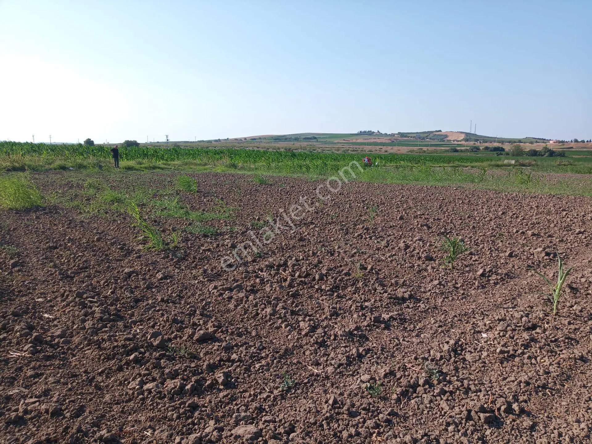 Bandırma Karaçalilikta 1790 M Yola Cepheli Tarla — fotoğraf 3