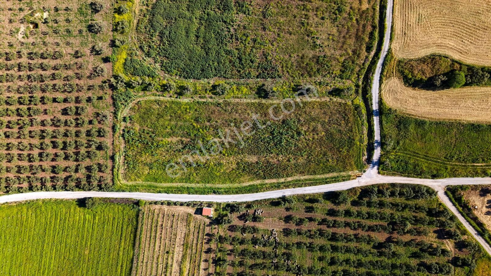 Foça Kocamehmetlerde Satılık 6.642 M² Müstakil Parsel Tarla! — fotoğraf 2