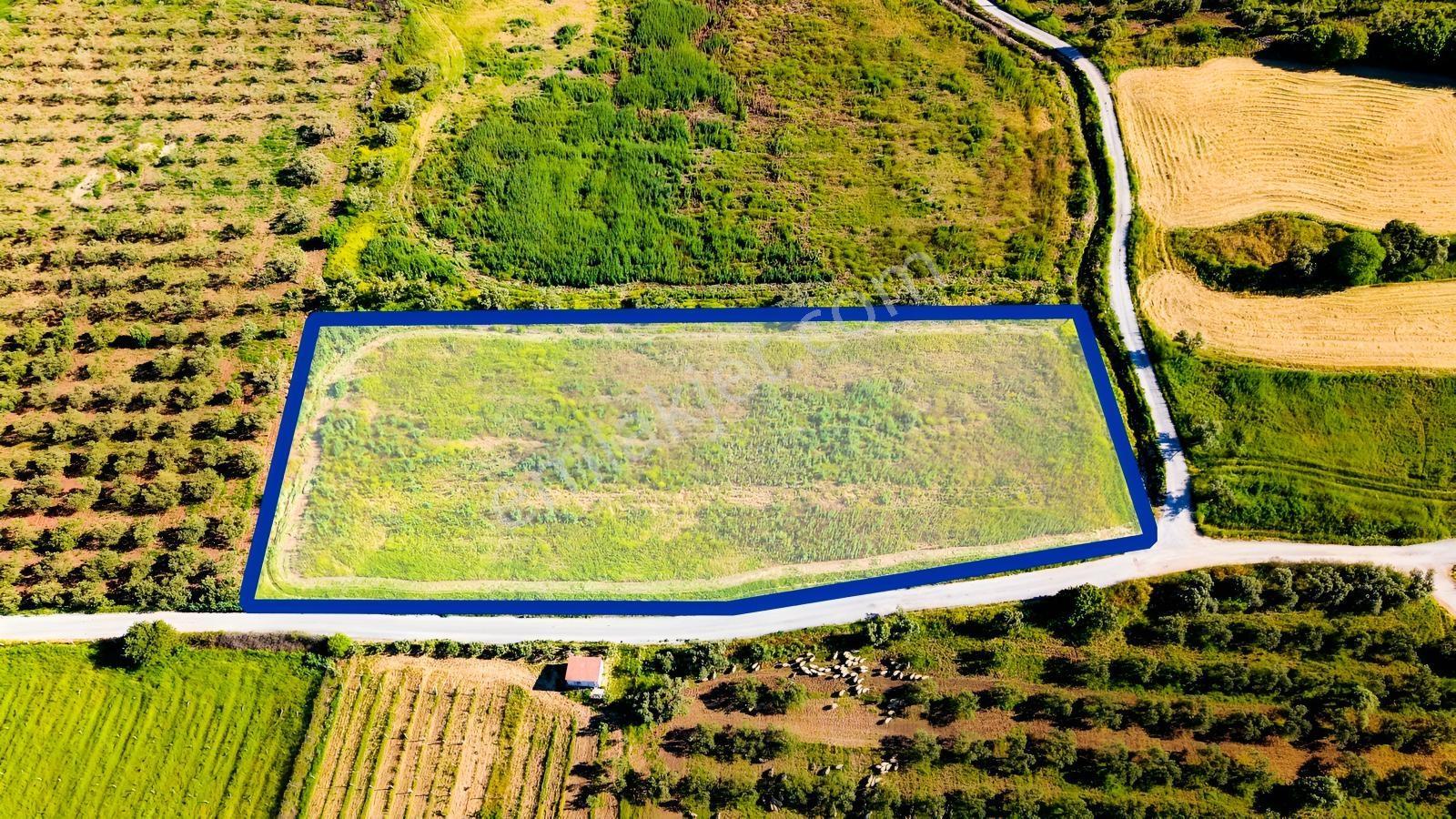 Foça Kocamehmetlerde Satılık 6.642 M² Müstakil Parsel Tarla! — fotoğraf 3