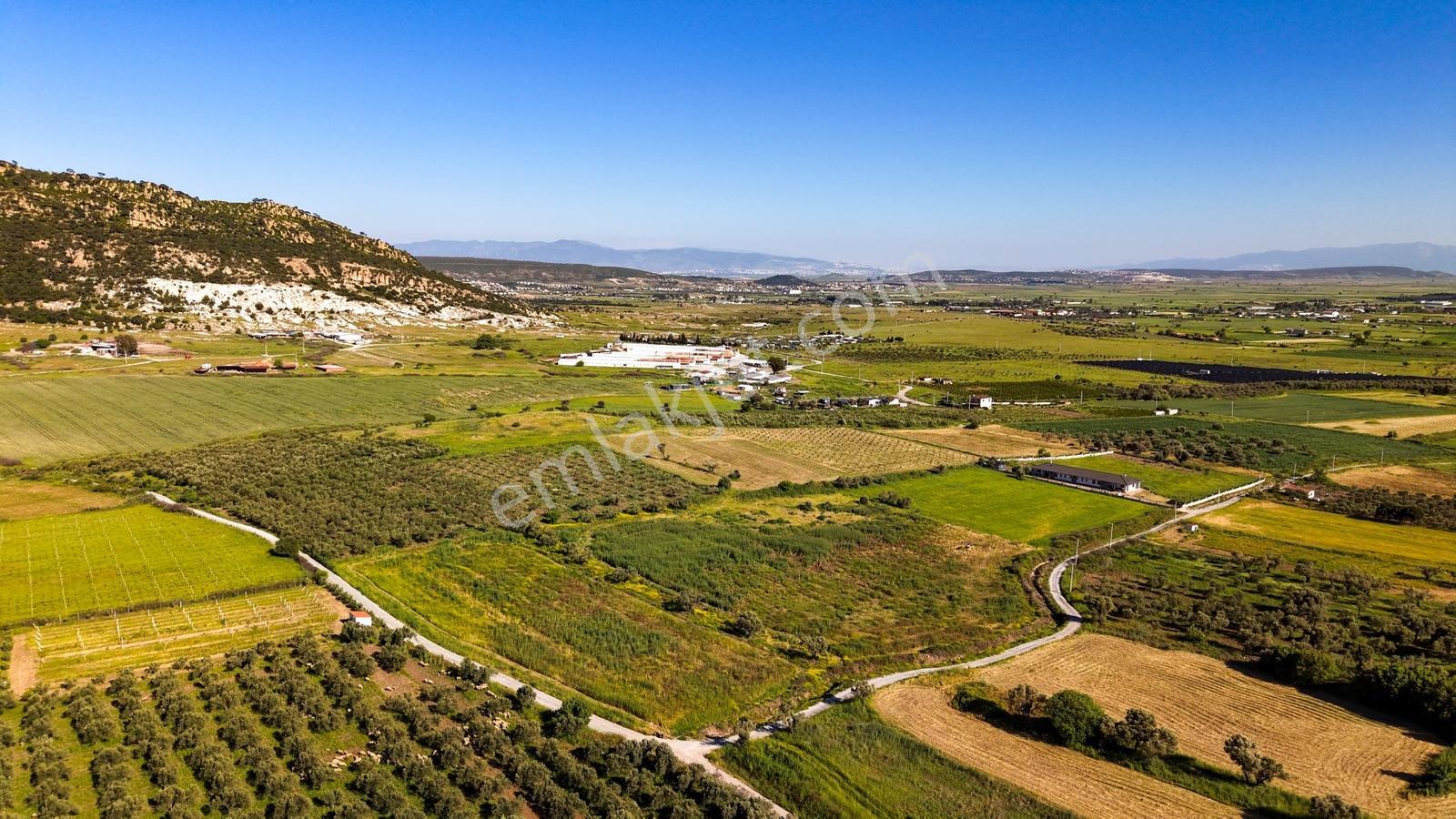 Foça Kocamehmetlerde Satılık 6.642 M² Müstakil Parsel Tarla! — fotoğraf 8