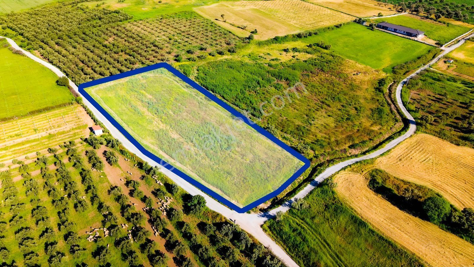 Foça Kocamehmetlerde Satılık 6.642 M² Müstakil Parsel Tarla! — fotoğraf 9