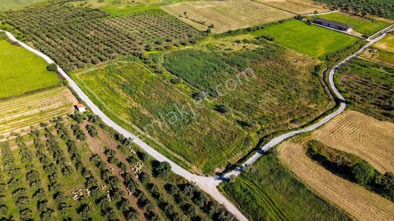 Foça Kocamehmetlerde Satılık 6.642 M² Müstakil Parsel Tarla! — fotoğraf 10