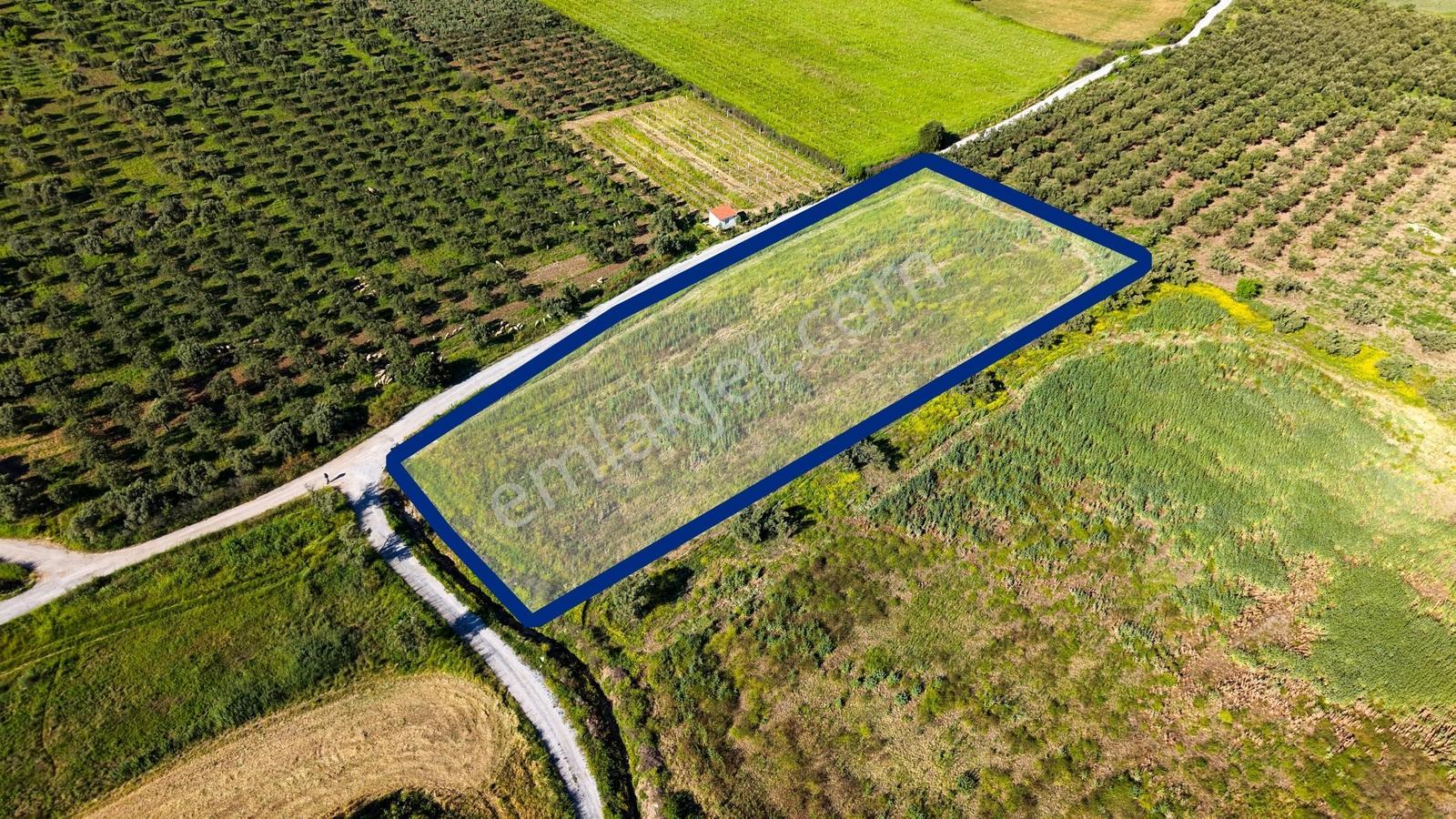 Foça Kocamehmetlerde Satılık 6.642 M² Müstakil Parsel Tarla! — fotoğraf 11
