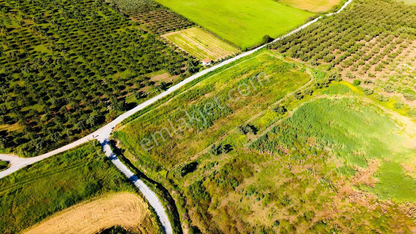 Foça Kocamehmetlerde Satılık 6.642 M² Müstakil Parsel Tarla! — fotoğraf 12