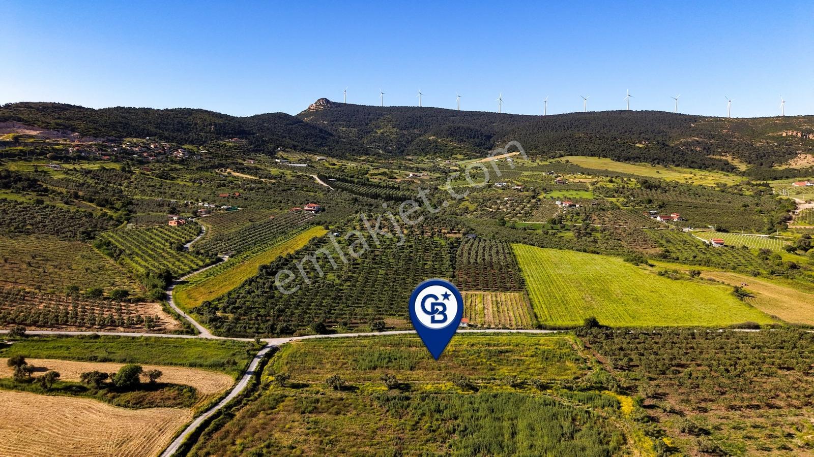 Foça Kocamehmetlerde Satılık 6.642 M² Müstakil Parsel Tarla! — fotoğraf 13