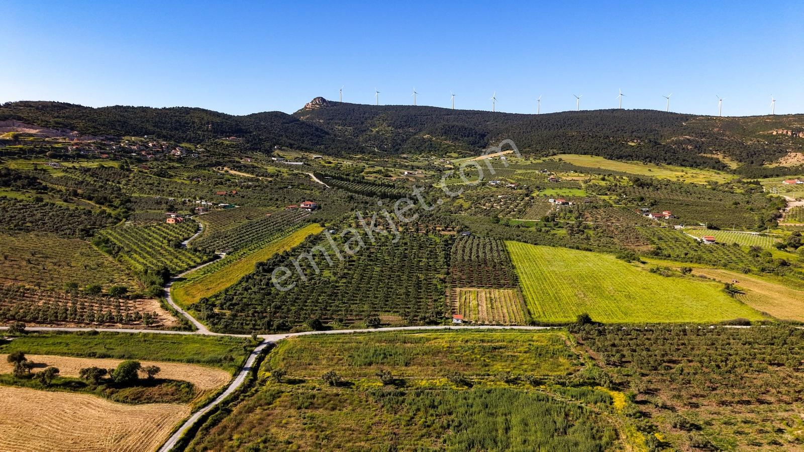 Foça Kocamehmetlerde Satılık 6.642 M² Müstakil Parsel Tarla! — fotoğraf 14