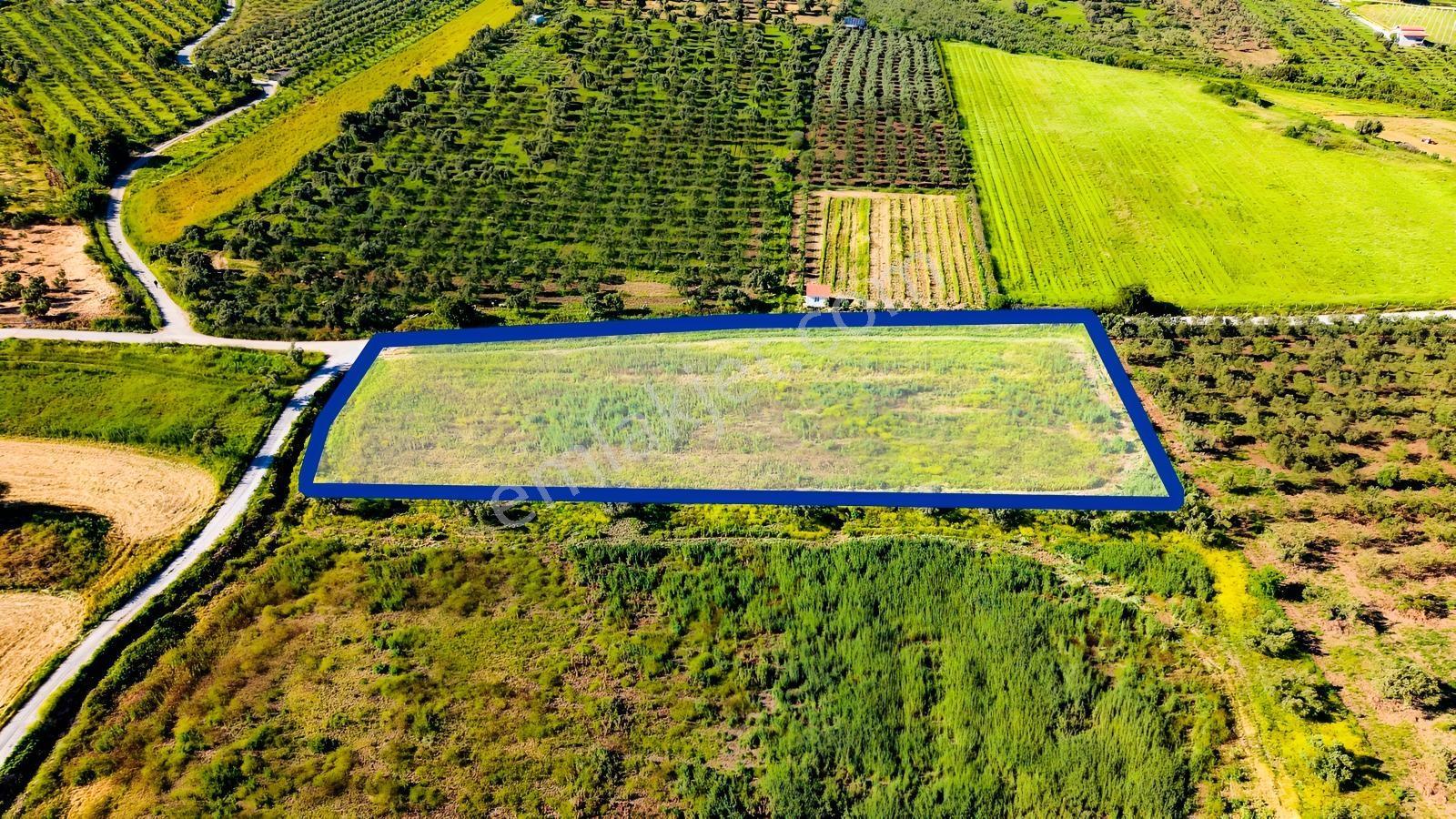 Foça Kocamehmetlerde Satılık 6.642 M² Müstakil Parsel Tarla! — fotoğraf 15