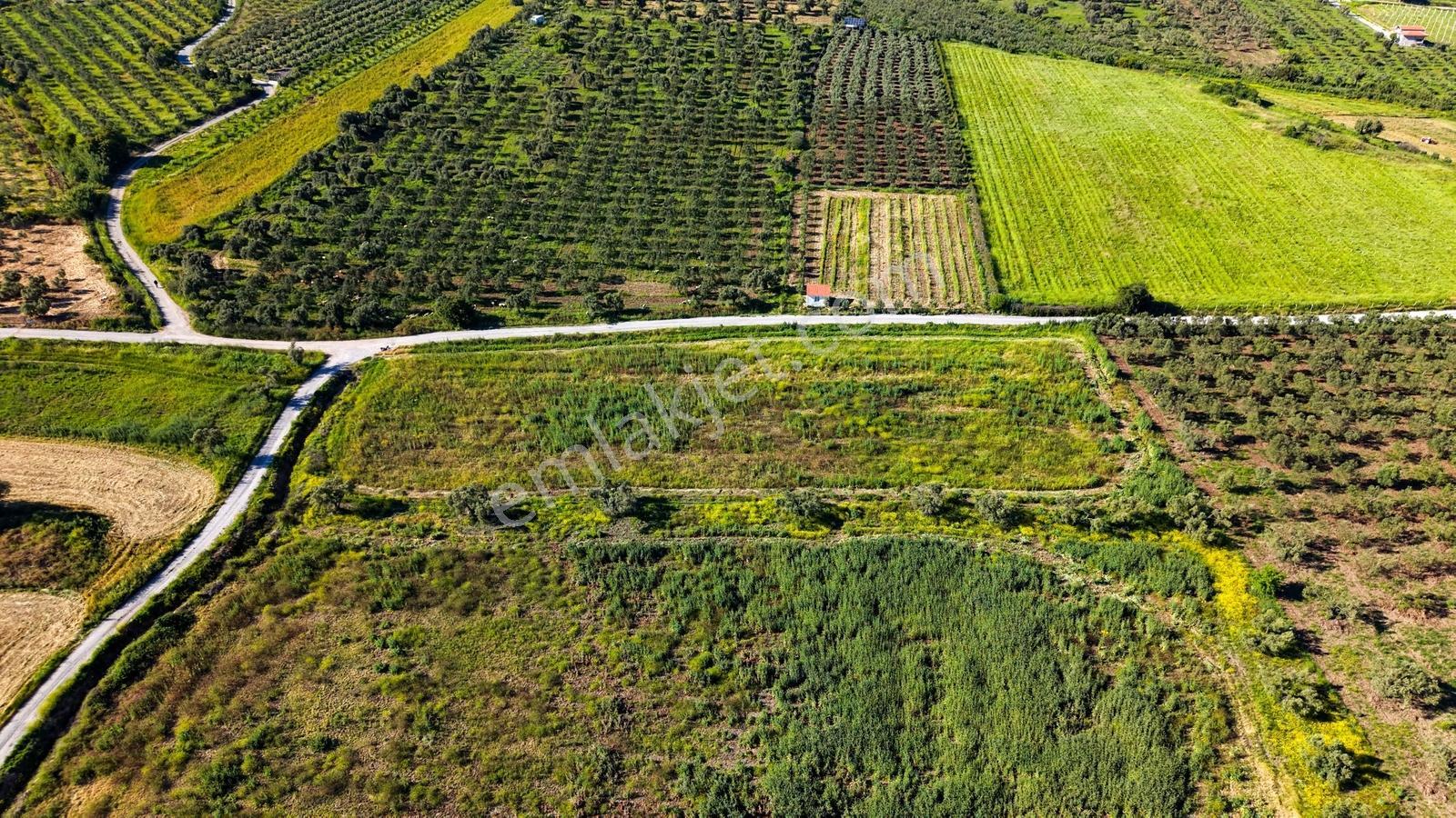 Foça Kocamehmetlerde Satılık 6.642 M² Müstakil Parsel Tarla! — fotoğraf 16