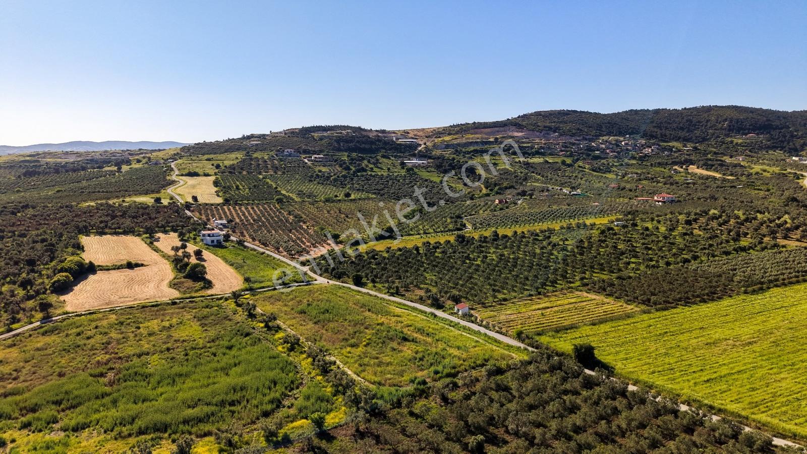 Foça Kocamehmetlerde Satılık 6.642 M² Müstakil Parsel Tarla! — fotoğraf 18