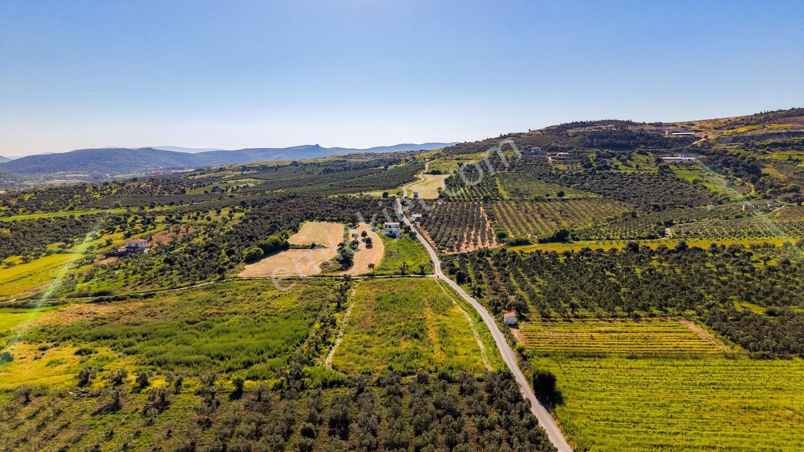 Foça Kocamehmetlerde Satılık 6.642 M² Müstakil Parsel Tarla! — fotoğraf 20