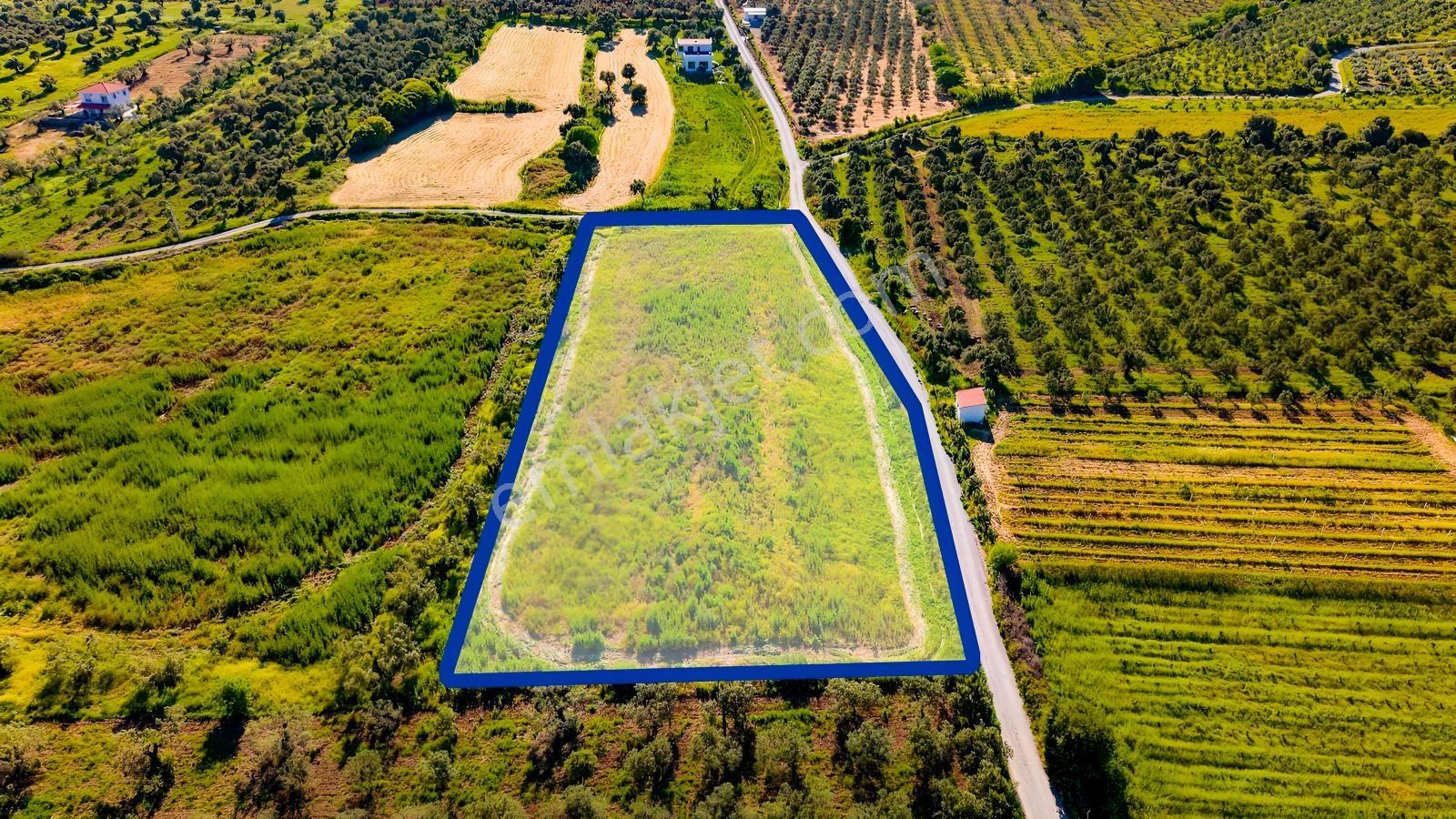 Foça Kocamehmetlerde Satılık 6.642 M² Müstakil Parsel Tarla! — fotoğraf 21