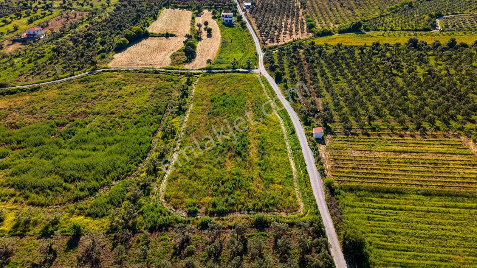 Foça Kocamehmetlerde Satılık 6.642 M² Müstakil Parsel Tarla! — fotoğraf 22