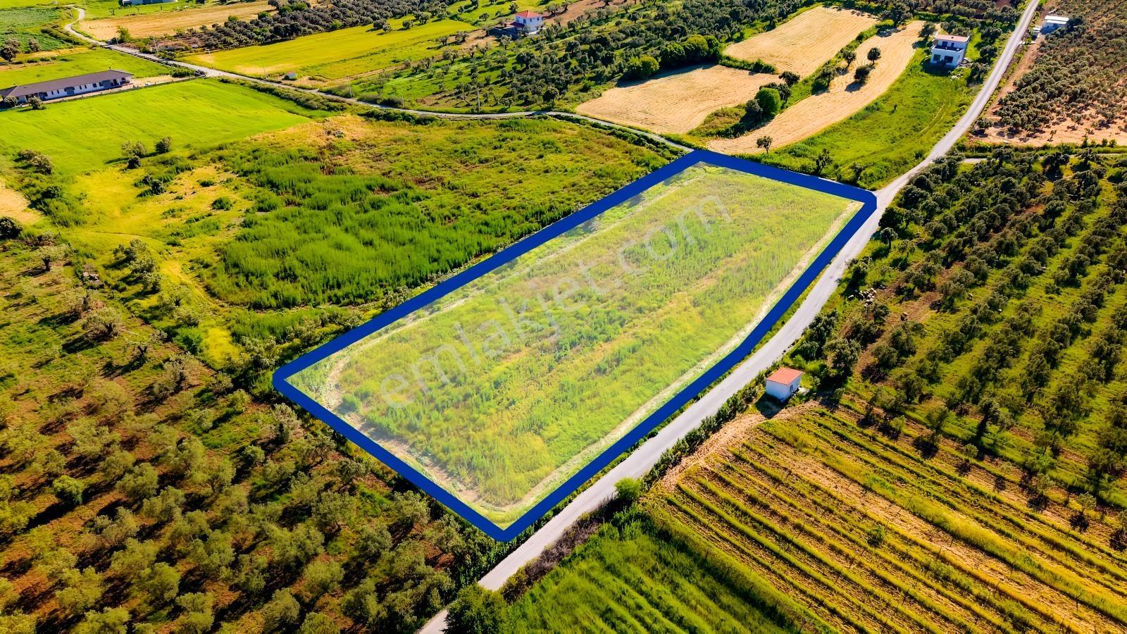 Foça Kocamehmetlerde Satılık 6.642 M² Müstakil Parsel Tarla! — fotoğraf 23