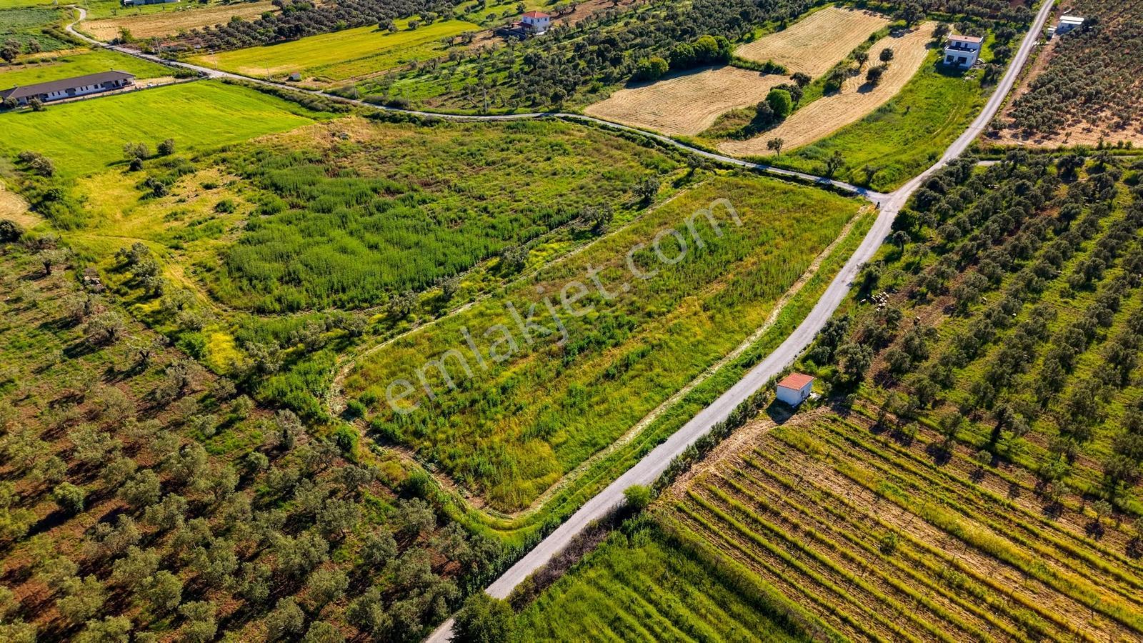 Foça Kocamehmetlerde Satılık 6.642 M² Müstakil Parsel Tarla! — fotoğraf 24