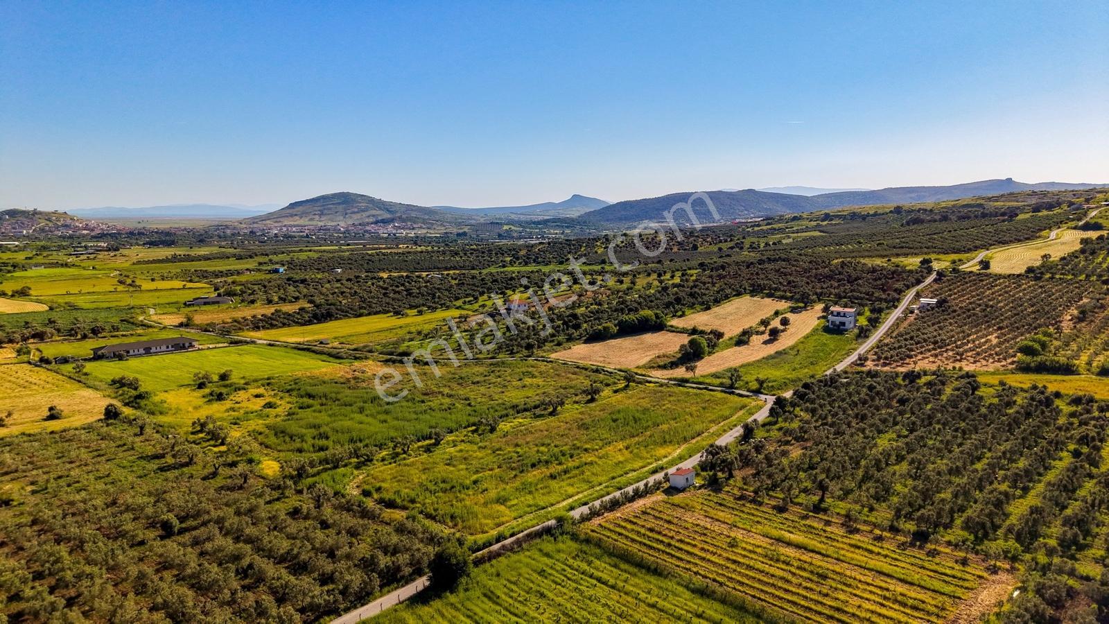Foça Kocamehmetlerde Satılık 6.642 M² Müstakil Parsel Tarla! — fotoğraf 26