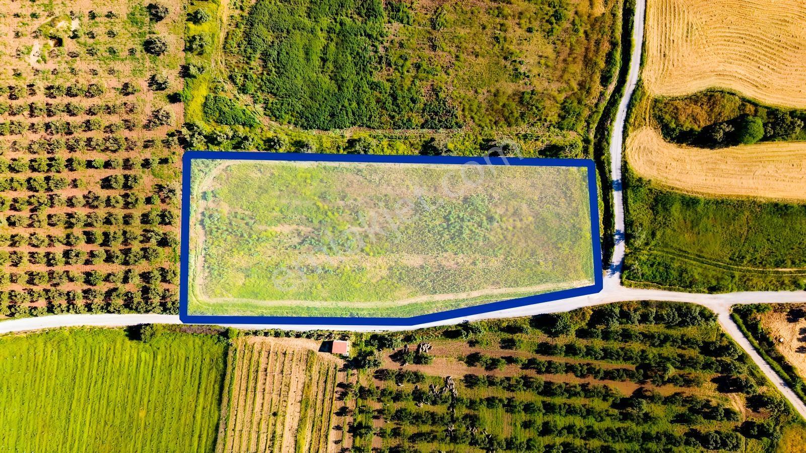 Foça Kocamehmetlerde Satılık 6.642 M² Müstakil Parsel Tarla! — fotoğraf 35