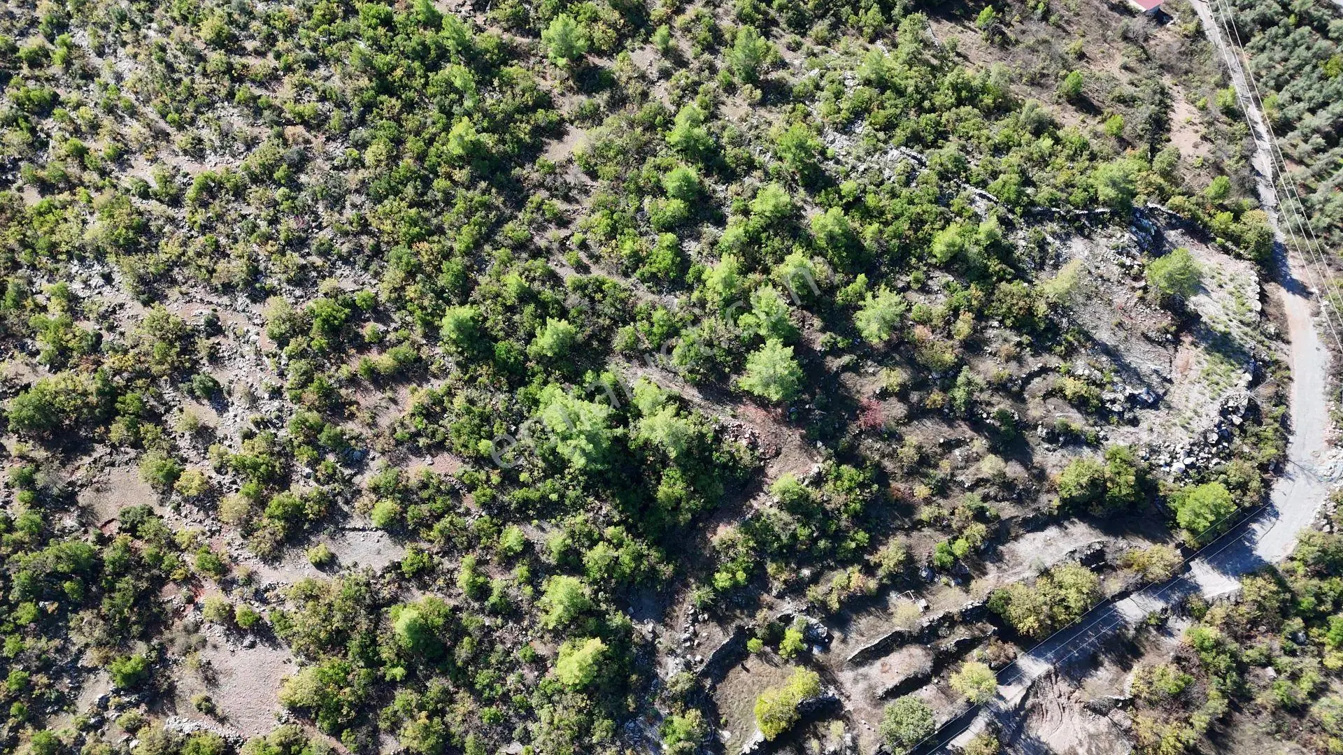 Satılık 6.281 M² Tarla Alanya-karamanlar — fotoğraf 5