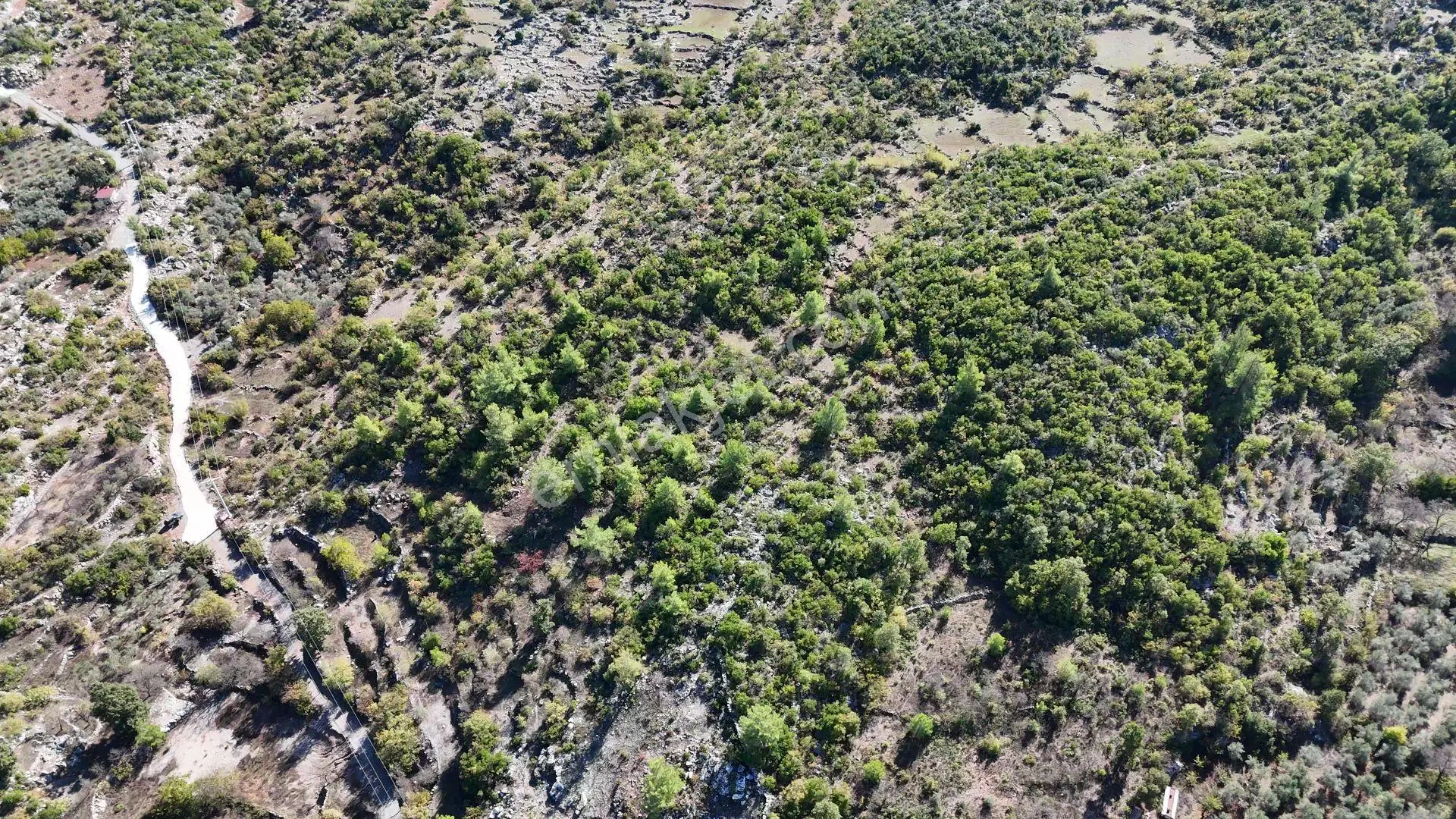 Satılık 6.281 M² Tarla Alanya-karamanlar — fotoğraf 6