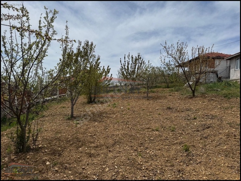Güvenay - Çorum Çoraklık Üstü Bayrak Tepe Hobi Bahçeleri Satılık — fotoğraf 4