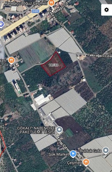 Ares Gruptan Çeşmelı'de Yatırımlık 4,600 M2 Limon Bahçesi — fotoğraf 4