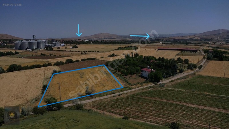 Liondan Hankendide İmara 100 Metre Mesafede Satılık Tarla — fotoğraf 5