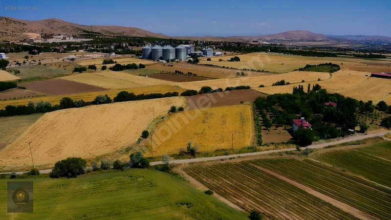 Liondan Hankendide İmara 100 Metre Mesafede Satılık Tarla — fotoğraf 9