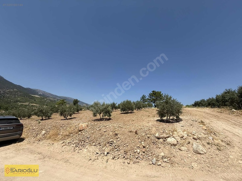 Mersin Mut'Ta 3.570 M² Satılık Zeytinlik - Yatırım Fırsatı