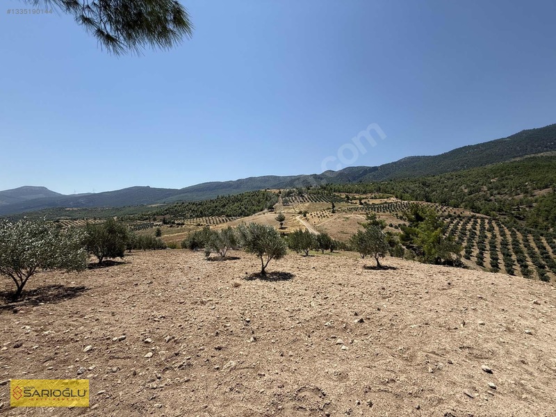 Mersin Mut'ta 3.570 M² Satılık Zeytinlik - Yatırım Fırsatı — fotoğraf 2