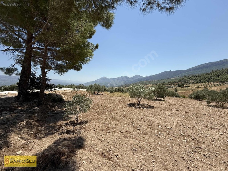Mersin Mut'ta 3.570 M² Satılık Zeytinlik - Yatırım Fırsatı — fotoğraf 3