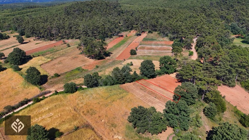 Muğla Kıran'da 329 M2 Satılık Tarla — fotoğraf 3